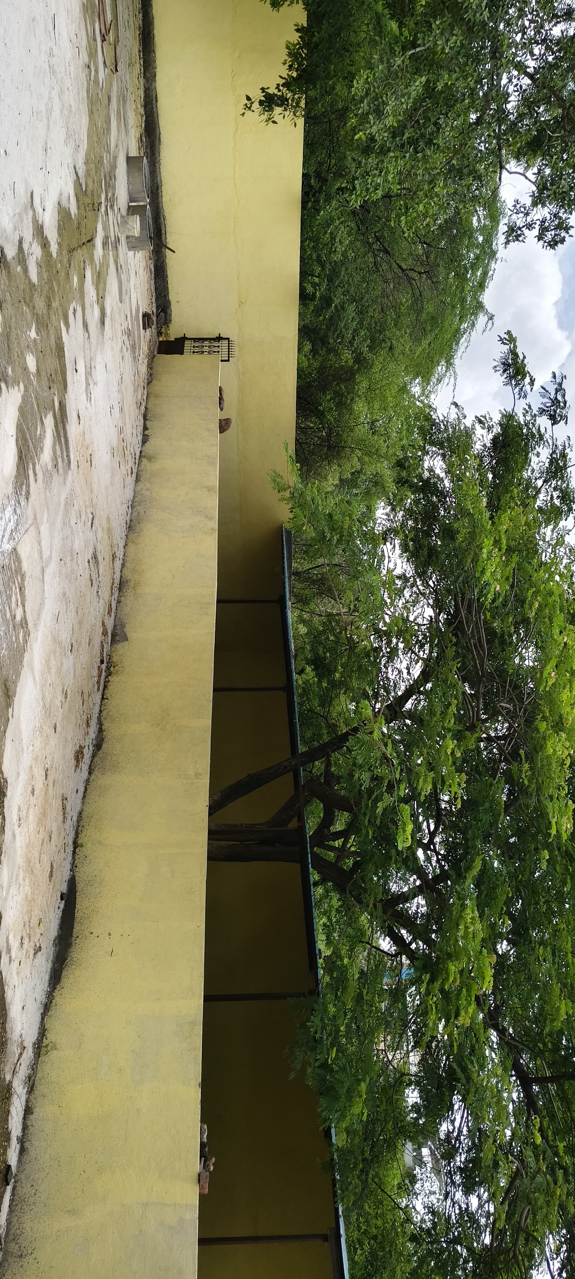 कोंडवाड़ा बाजार