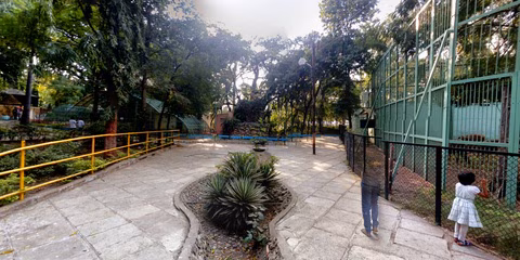 Zoo Development